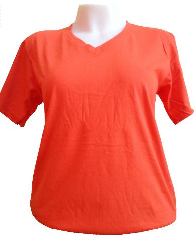 คอวีสีโอรส